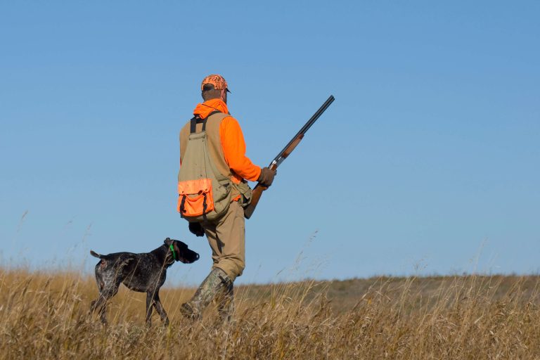 adult male and dog bird hunting