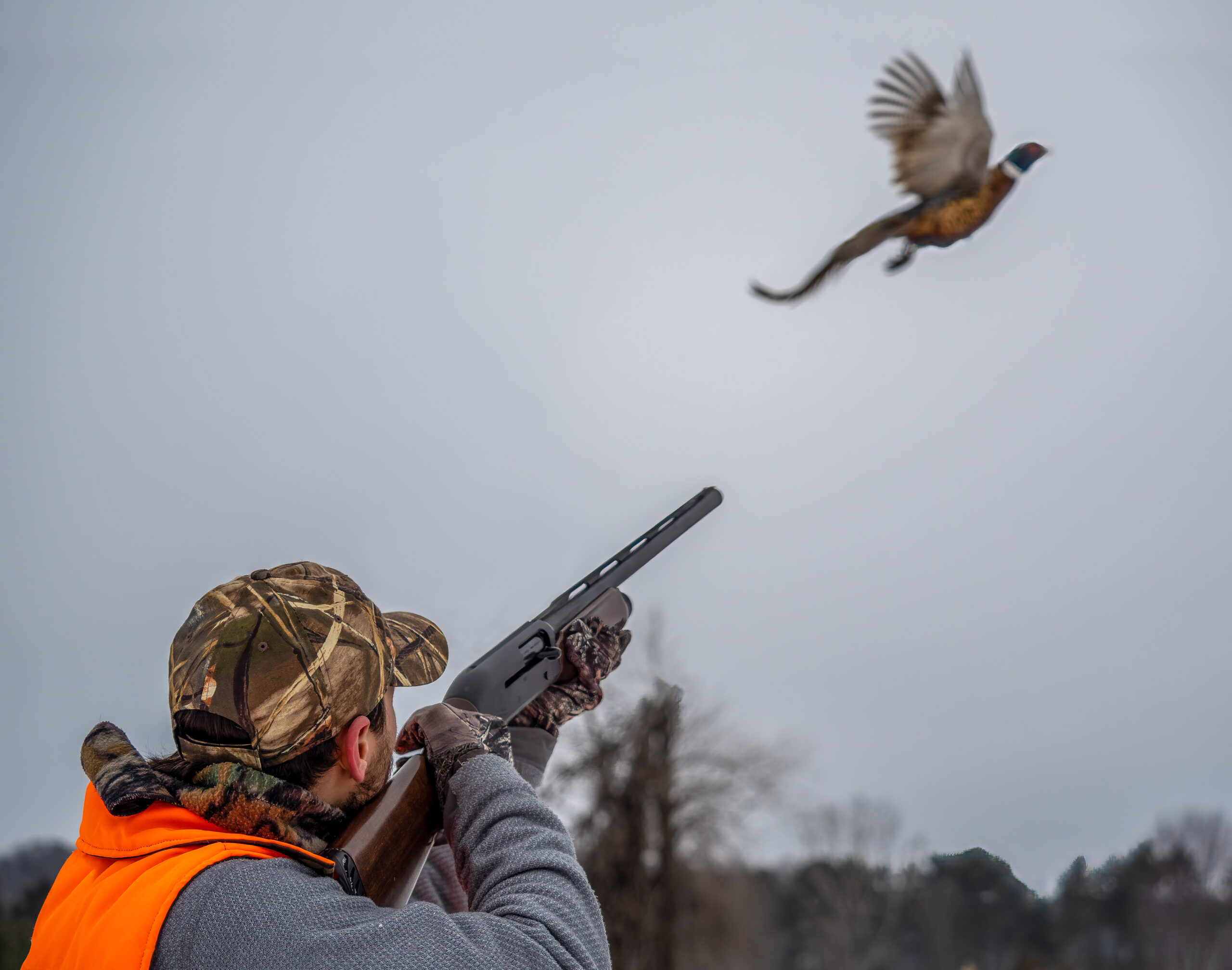 Young Male Takes Aim At A Ringneck Pheasant As It Takes Flight. Wearing Camoflage And Shooting A Rifle.